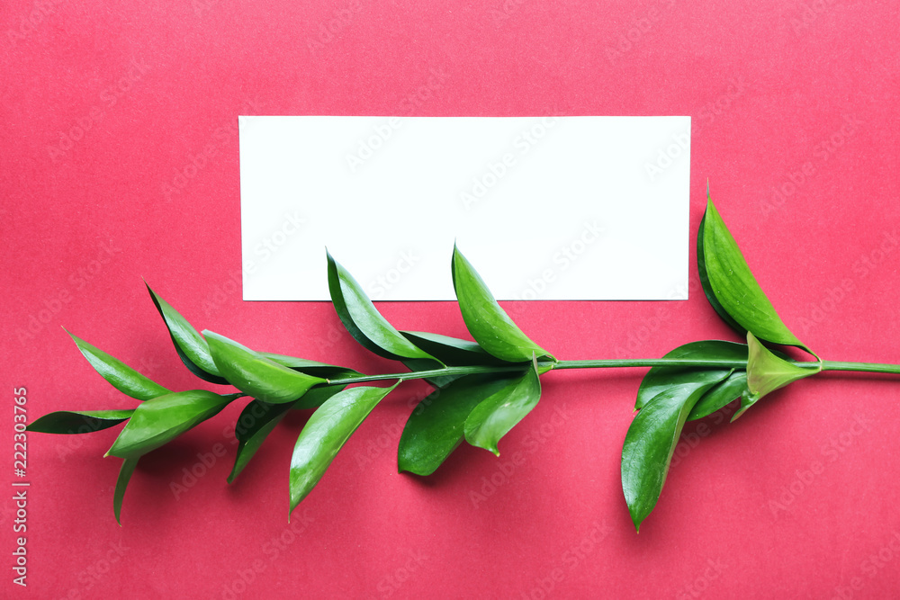 Composition with blank card and fresh ruscus branch on color background