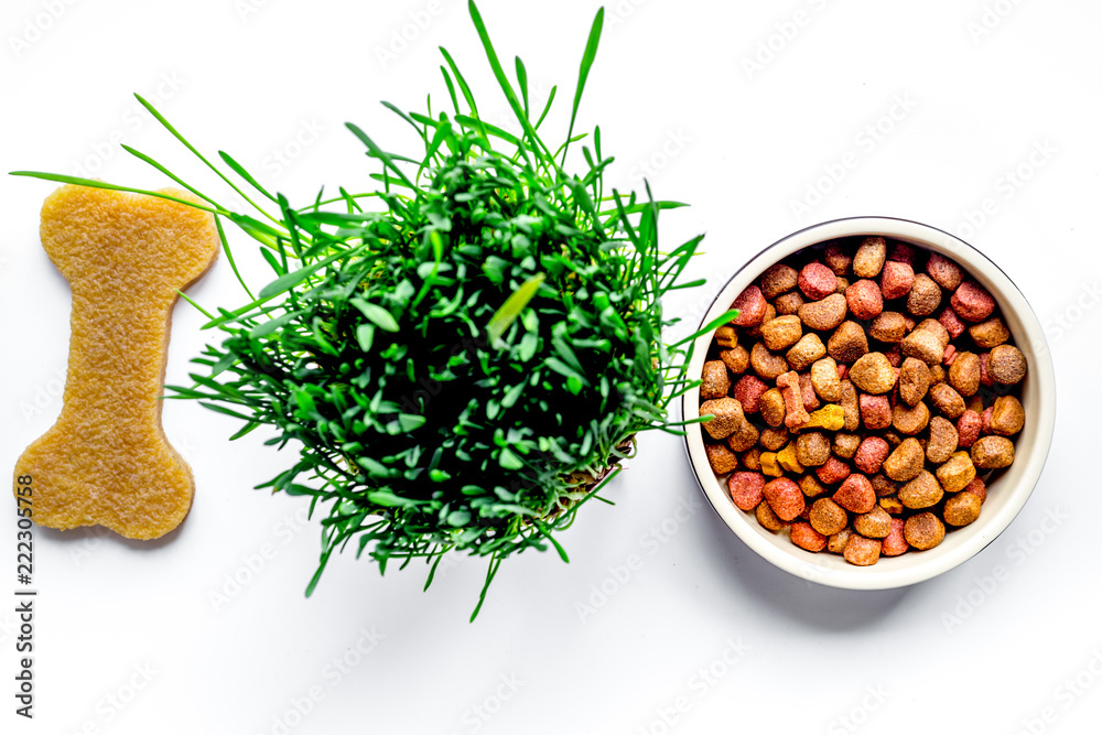 dry dog food in bowl on white background top view