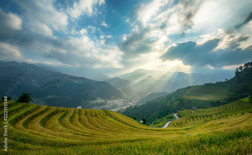 越南延白木仓寨梯田上的稻田。越南风景。