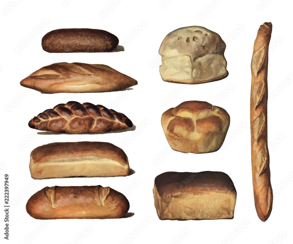 The Grocers Encyclopedia (1911), a vintage collection of various types of baked bread loaves. Digit