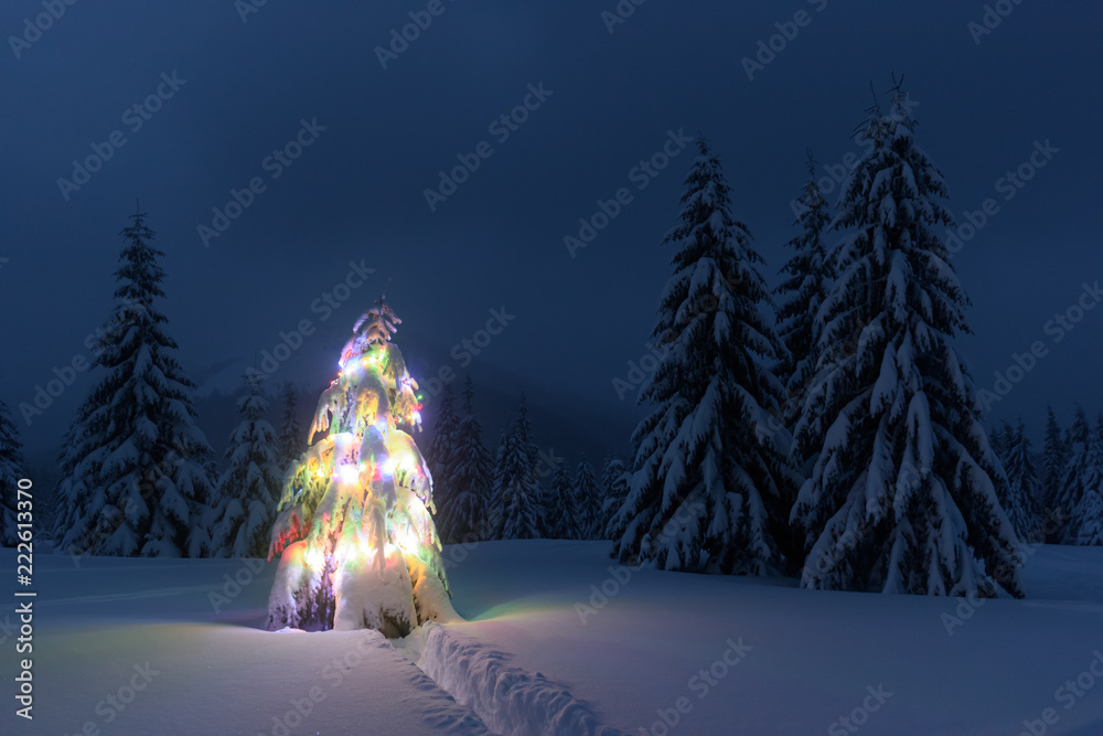 Holiday landscape with Christmas tree, snow and lights in winter mountains. New year celebration con