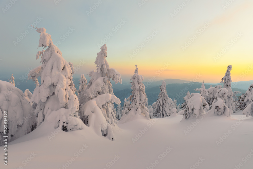 阳光照耀下的雪山中令人惊叹的橙色冬季景观。戏剧性的冬季场景