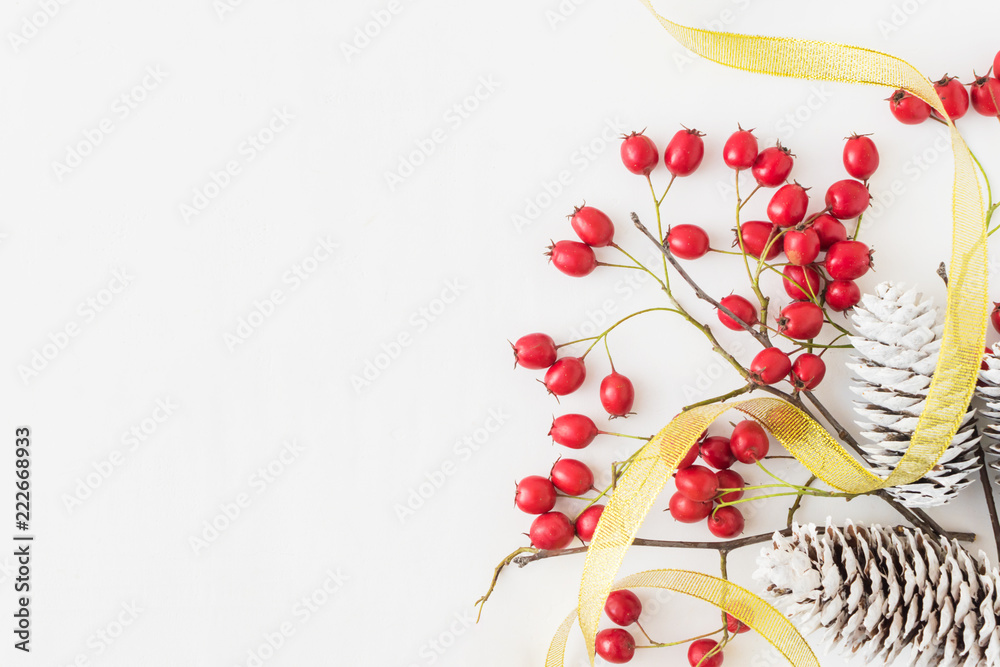 Сhristmas branches with red berries