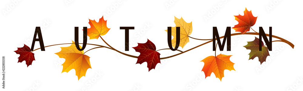 Autumn text design. Vector title with twig of maple tree