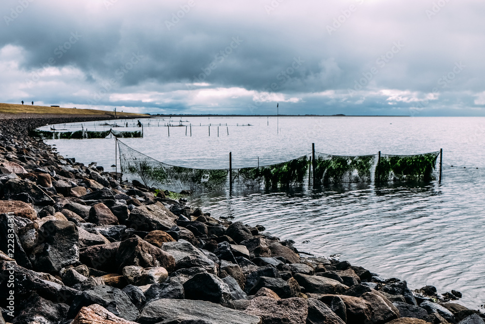 Sylt Nordsee Fischfang Seegras bewölkt