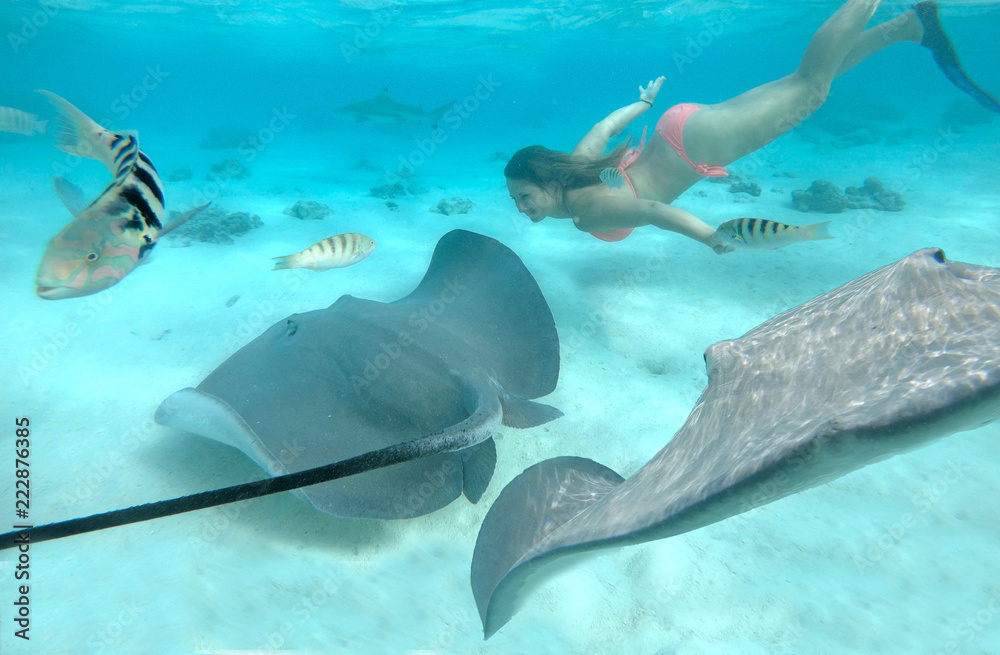 UNDERWATER: Cheerful woman diving with friendly wildlife in turquoise ocean.