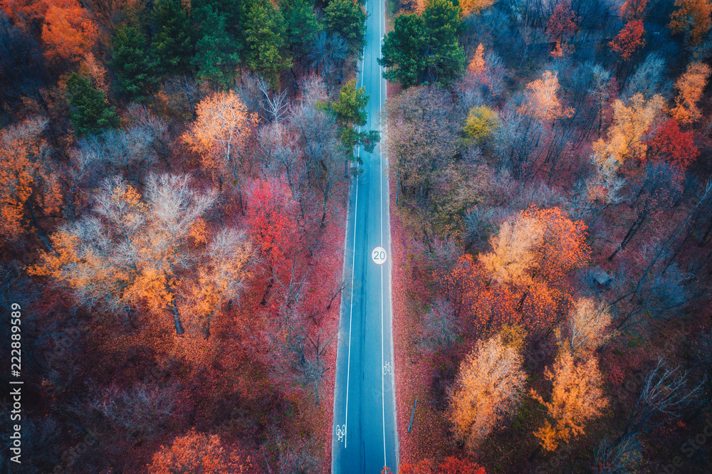 日落时分美丽的秋天森林中的道路鸟瞰图。乡村道路空旷的美丽景观，