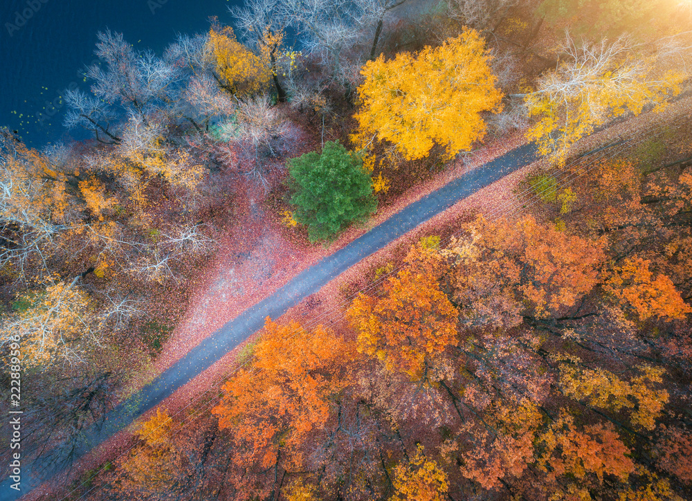 日落时美丽的秋林中的公路鸟瞰图。空旷的乡村公路构成了美丽的景观。