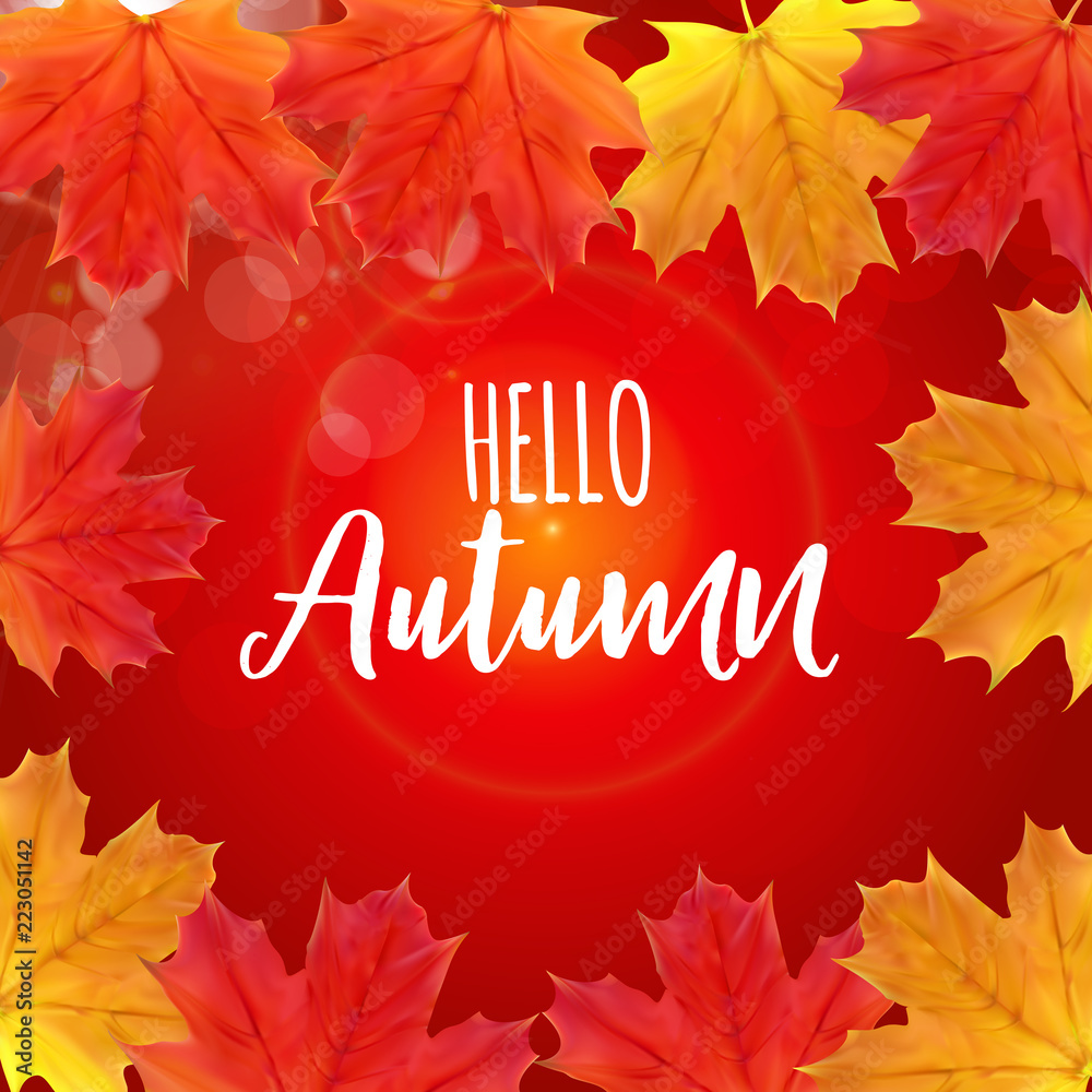 Shiny Hello Autumn Natural Leaves Background. Vector Illustration