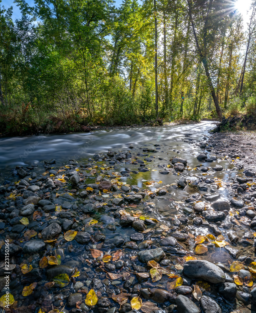 Autumn long exposure