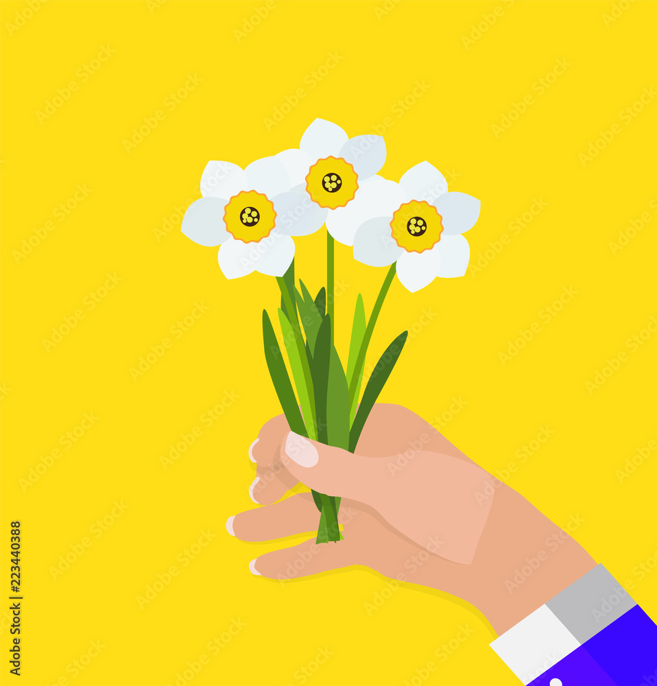 Hand of a man holds Spring Narcissus Flowers Background Vector Illustration