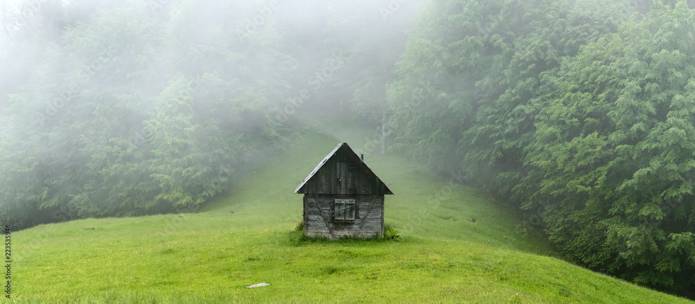 树林中的一间小屋。高分辨率全景。风景摄影