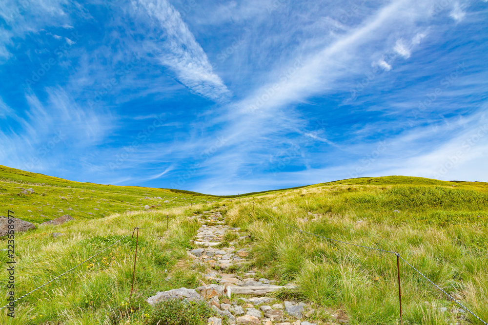 緑の山と登山道