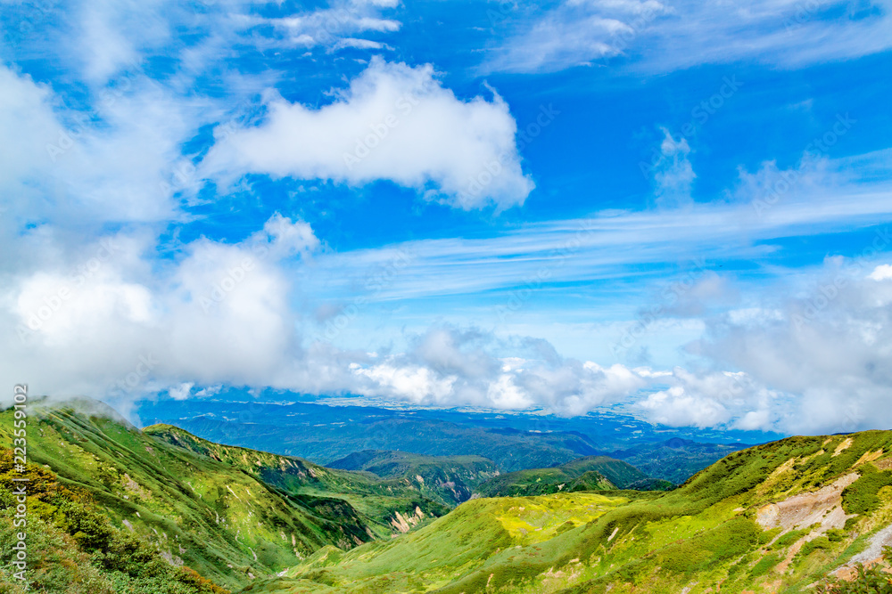 新緑の山