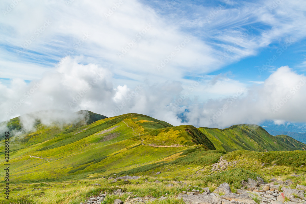 緑の山と登山道