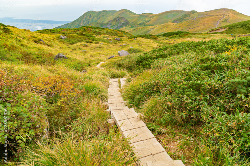 初秋の登山道