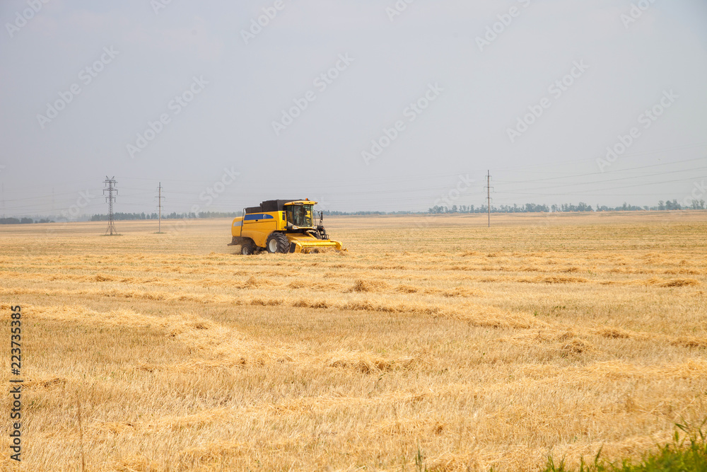 combines clean wheat