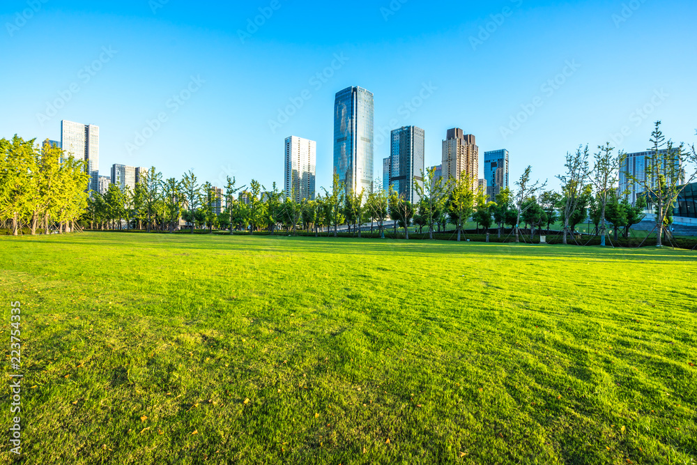 city skyline with park in hangzhou china