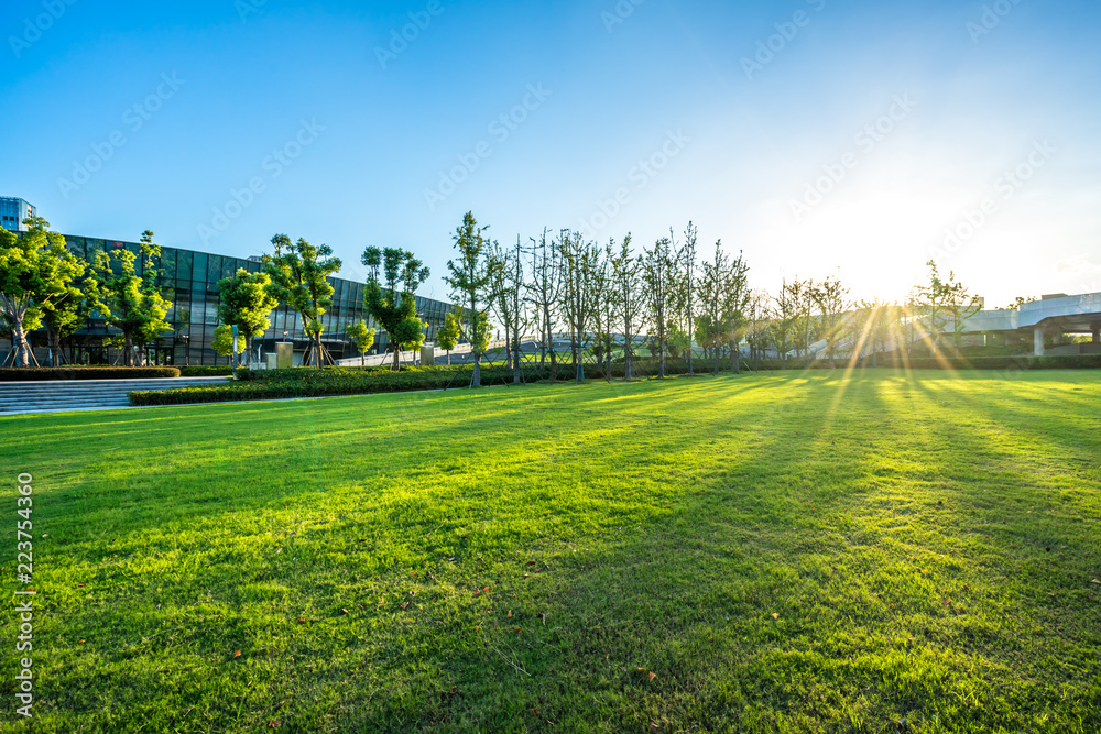 park in spring