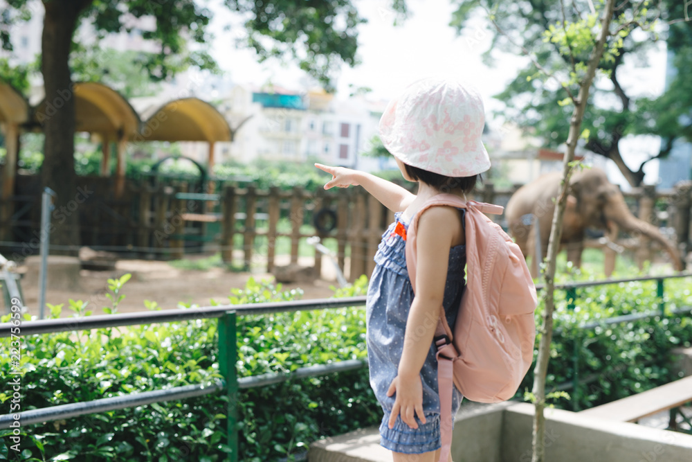 暑假期间，孩子们在热带野生动物园喂养亚洲象。孩子们观看动物