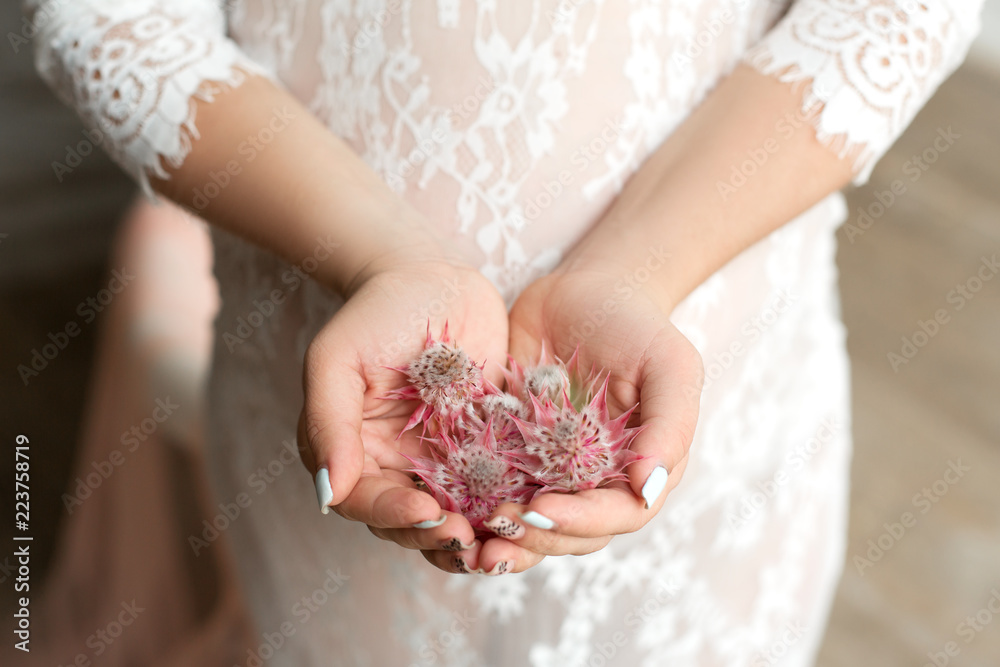 close-up of female hands holding a handful of serruria flowers