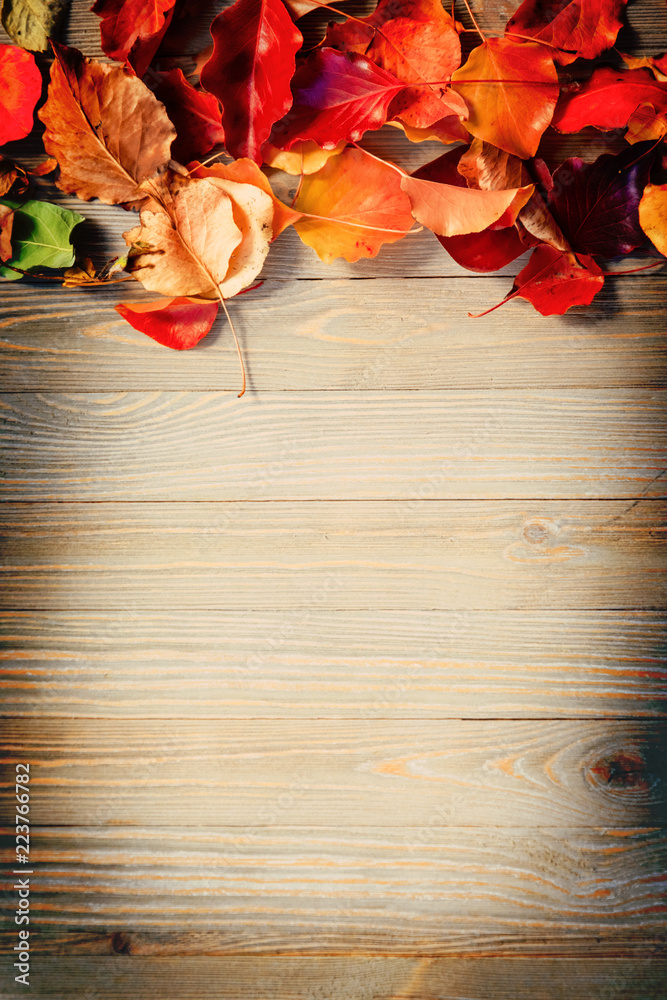 Colorful autumn leaves on wooden board