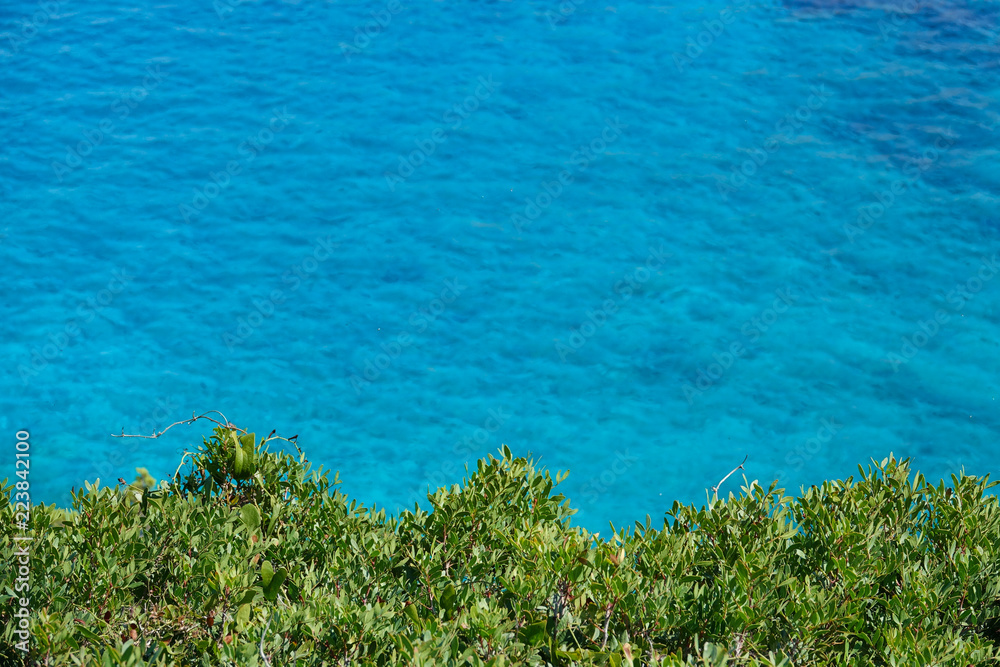 COPY SPACE: Flying above green trees stretching over the calm turquoise ocean.