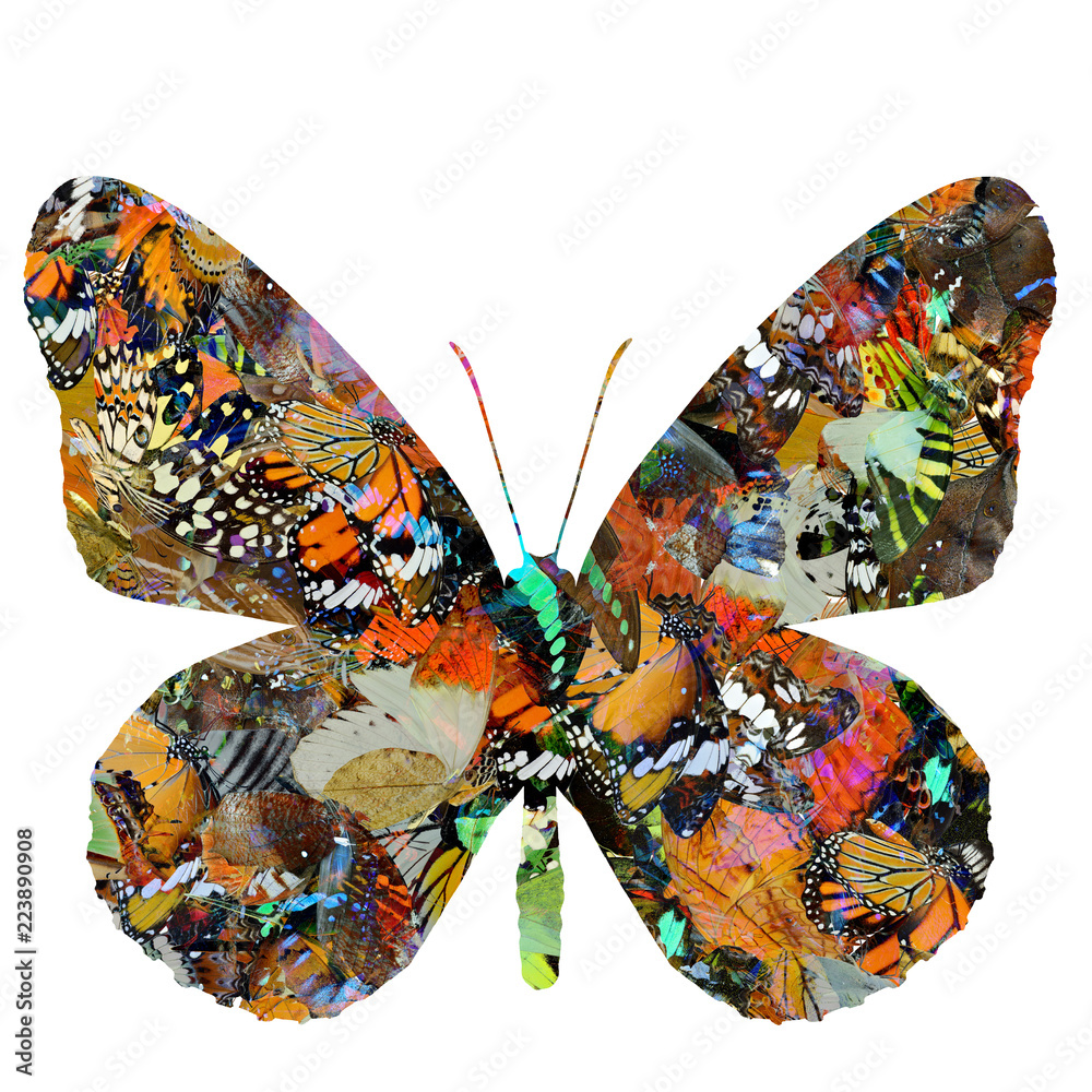 exotic butterfly in artistic scheme made by many colorful butterflies in different shapes and color