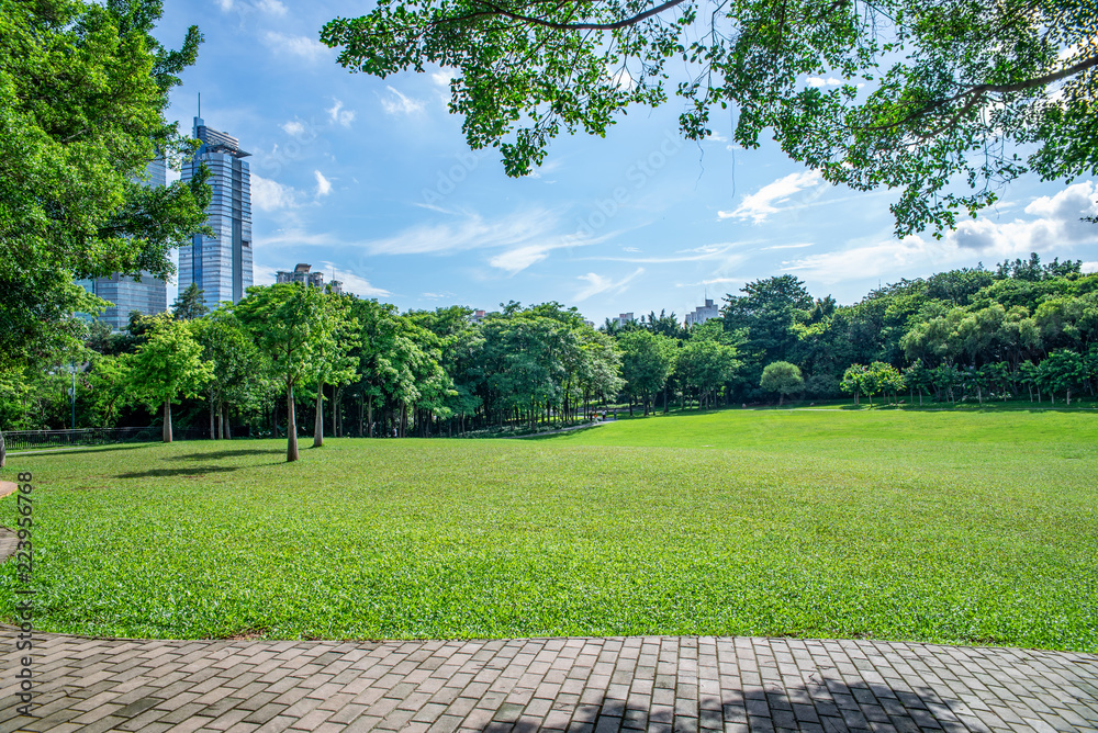 深圳莲花山公园草坪