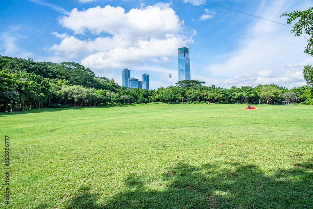 深圳莲花山公园风筝广场放风筝