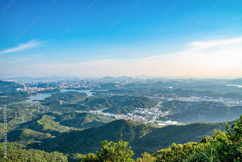 深圳森林与城市