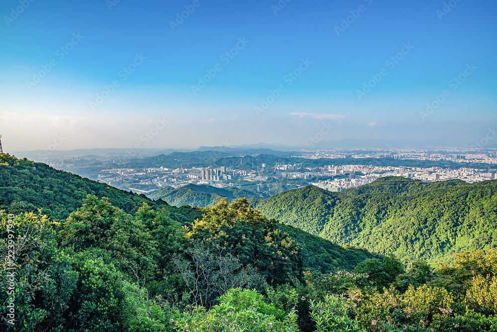 深圳羊台山森林公园俯瞰龙华区