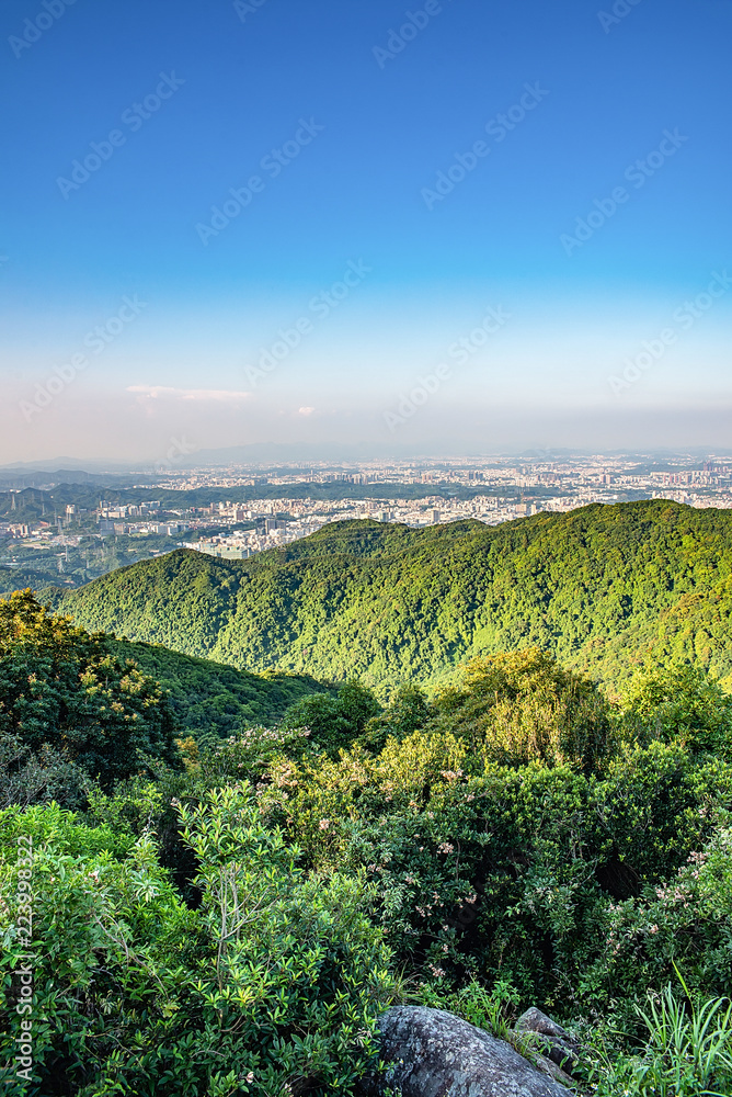 深圳羊台山森林公园风光