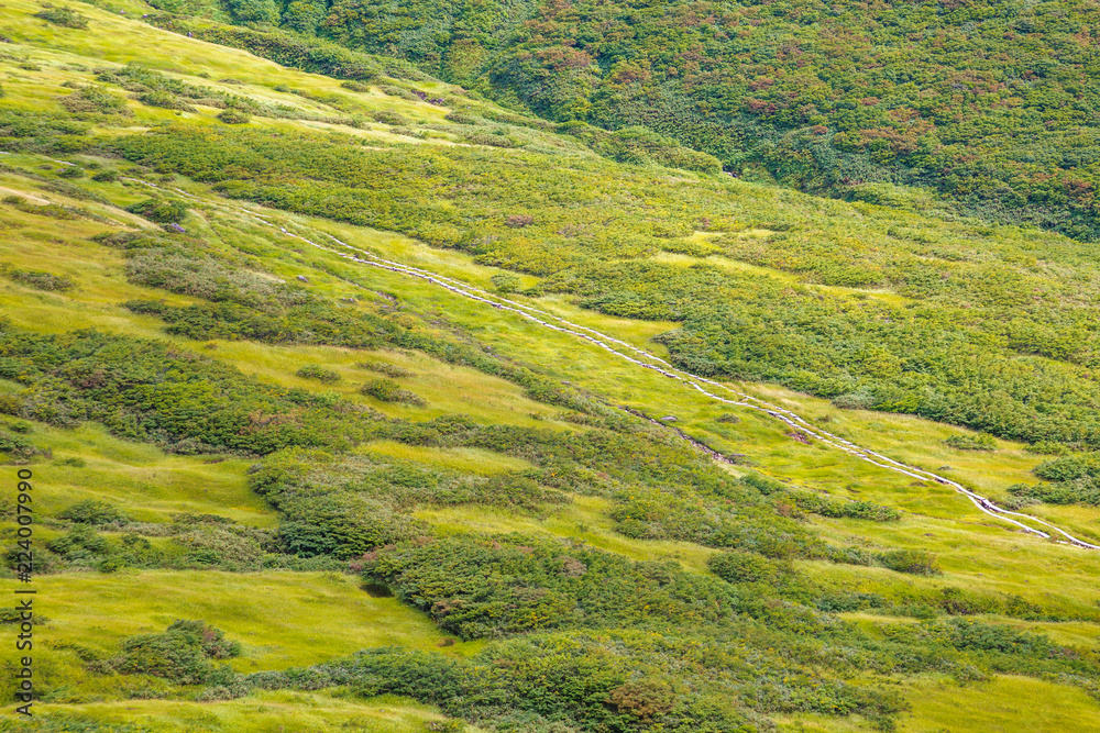 初秋の登山道　山形県月山