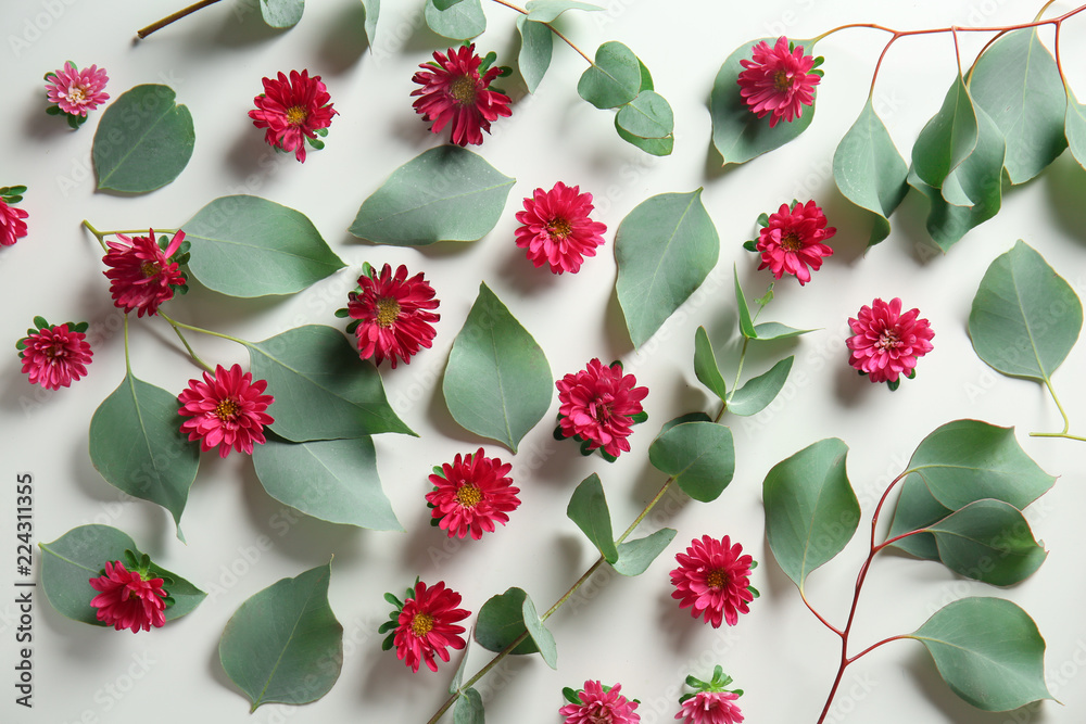 Green eucalyptus leaves and chrysanthemum flowers on white background