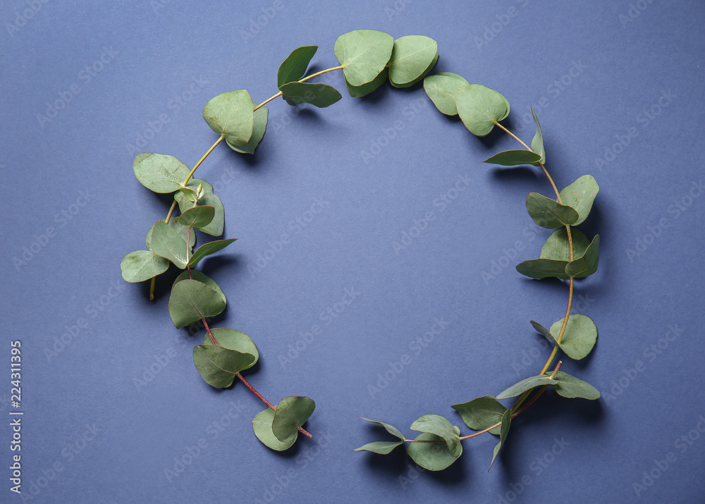 Eucalyptus branches with fresh leaves on color background