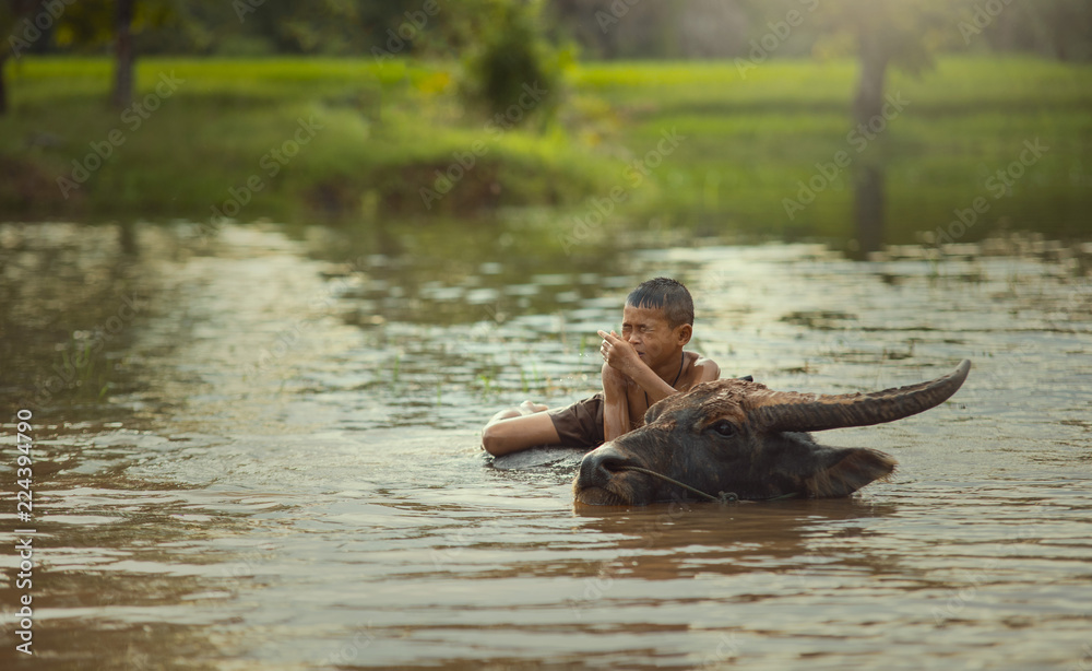 Lifestyle of children are playing with buffalo at rural Asia.