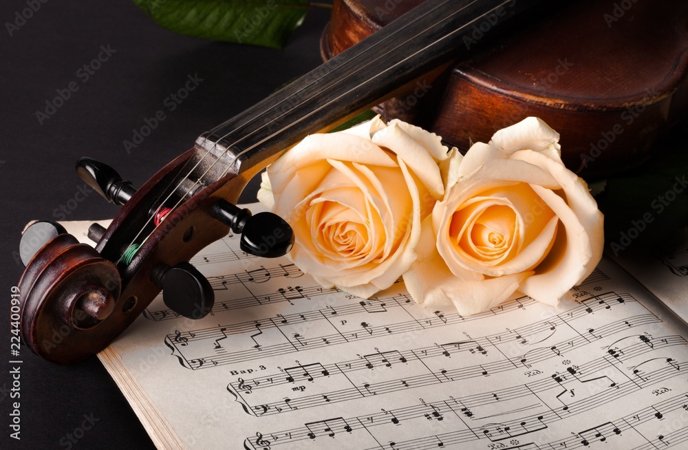 Close-up of a Violin with White Roses and Sheet Music