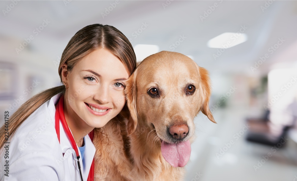 Beautiful young veterinarian with a dog on