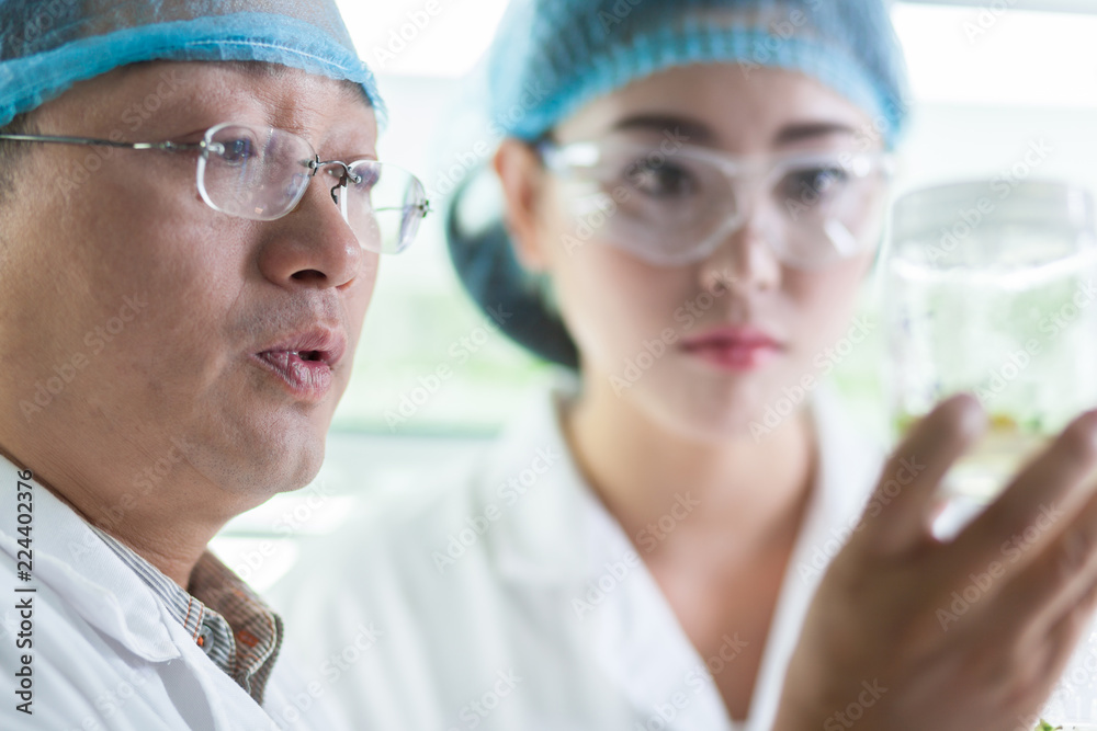 people working at laboratory