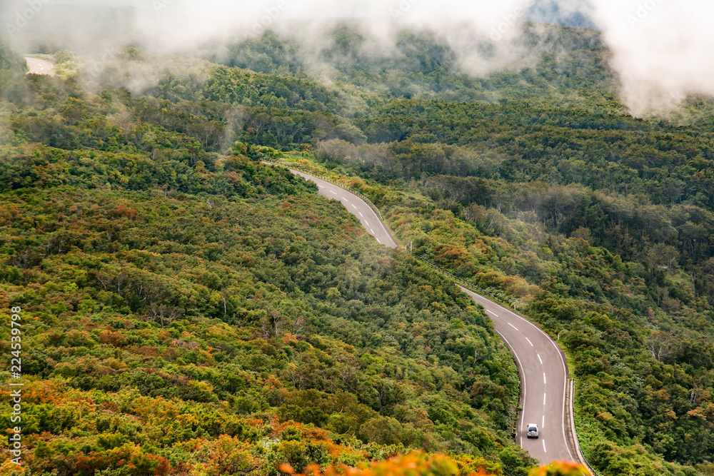 山中の道路