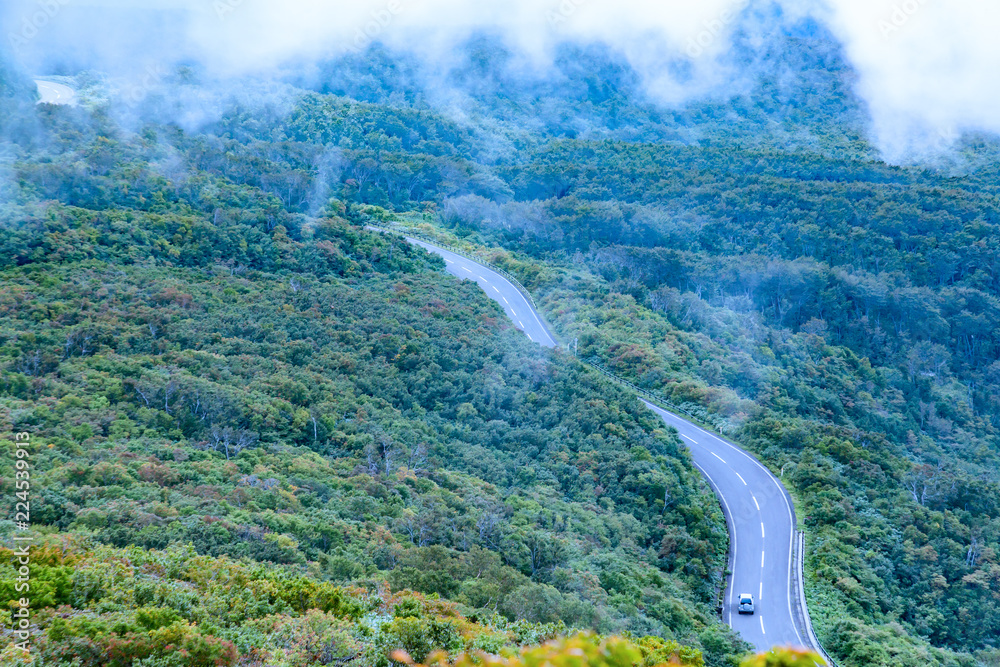 山中の道路