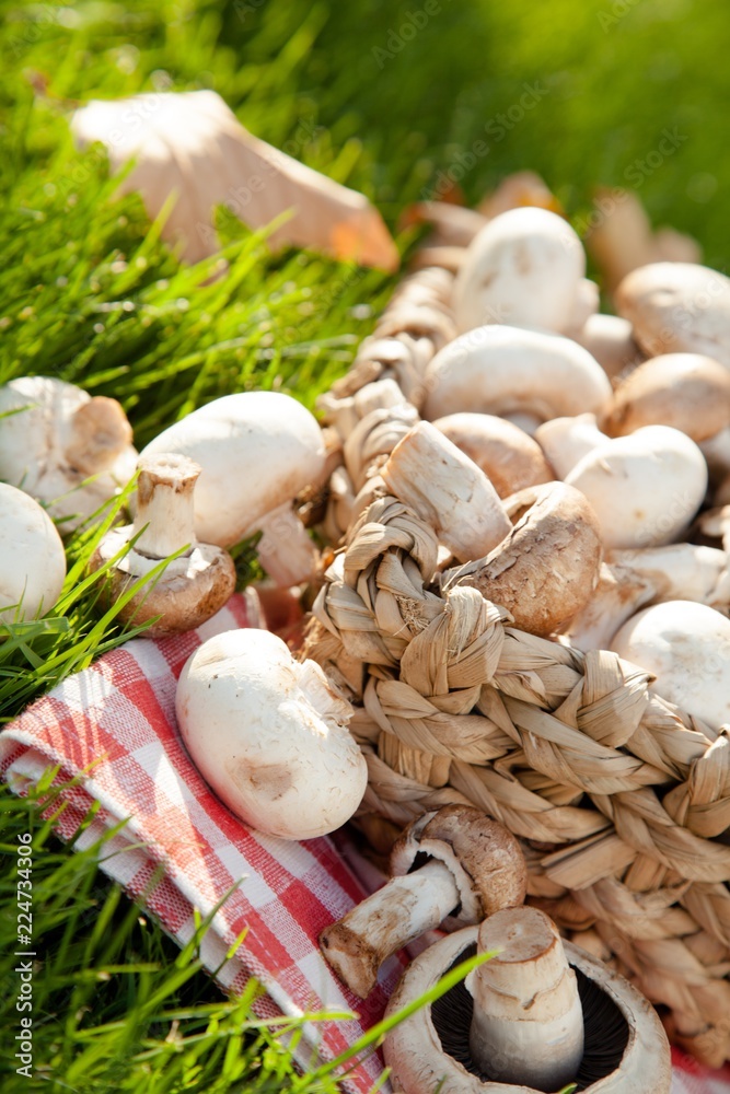 绿草上篮子里的Champignons和Crimini Mushrooms