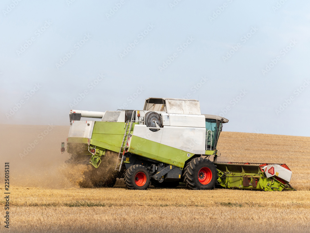 Combine harvesters on the field. Combine harvest on grain field. Summer harvest and blue sky. Harves