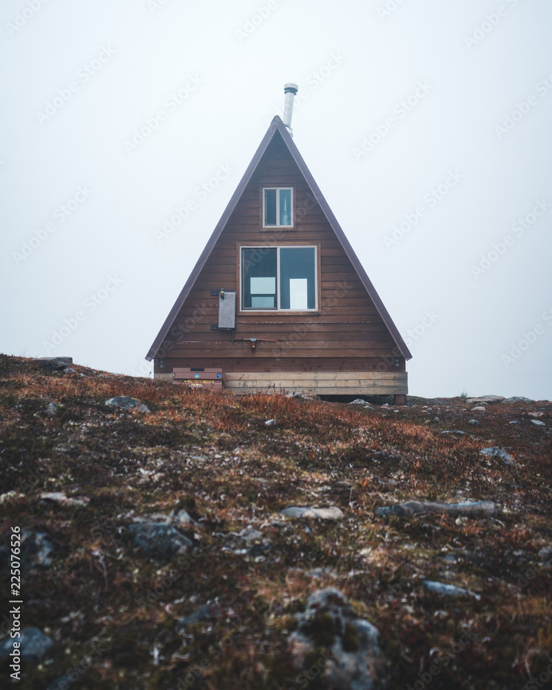 Cabin in the Mountains