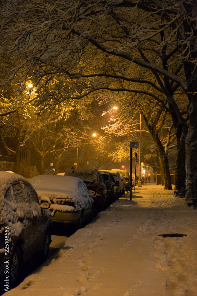 雪下的布鲁克林