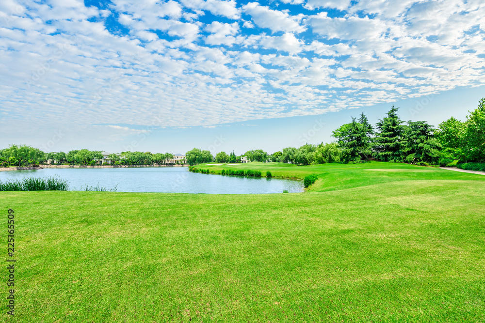 Green square lawn and forest natural landscape in city park