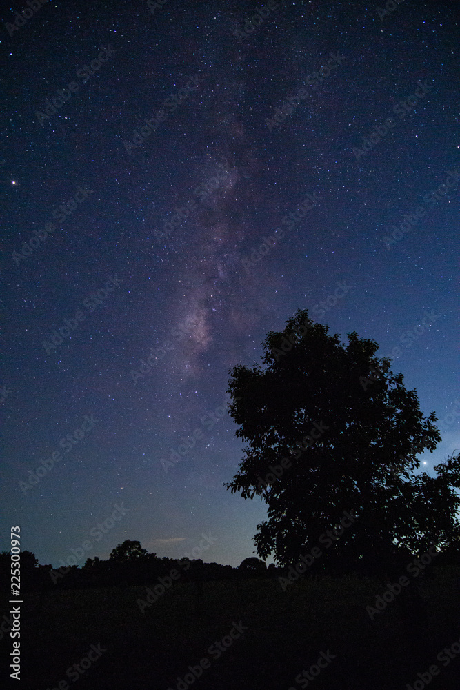 夜晚和米尔基韦的天空背景