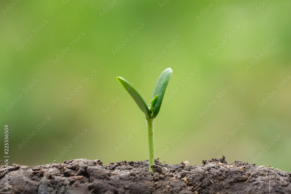 农业种植播种种植，商业成长理念