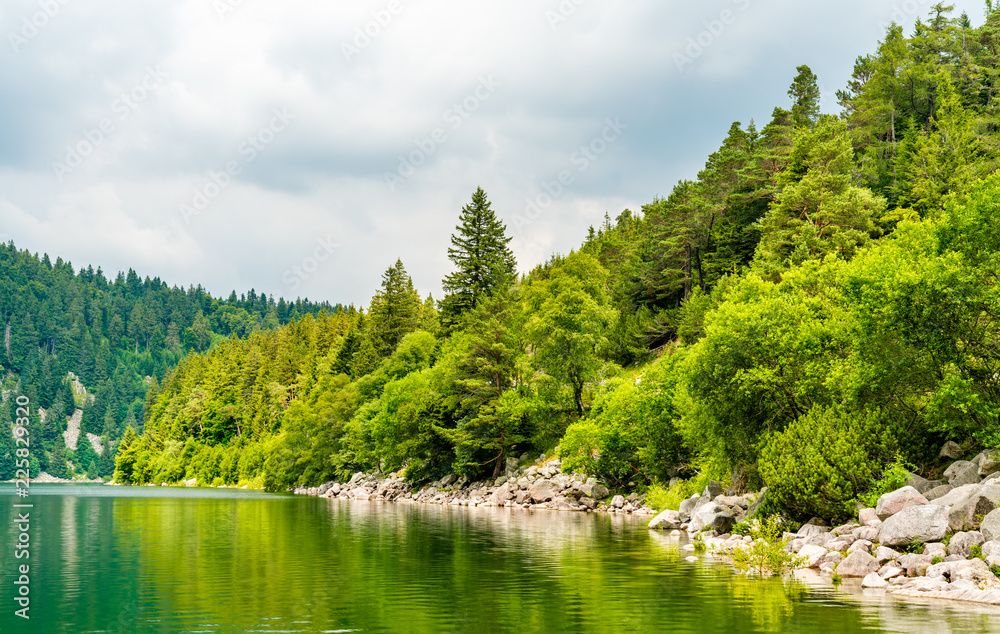 瓦茨布兰克湖全景，沃斯日山脉的一个湖泊